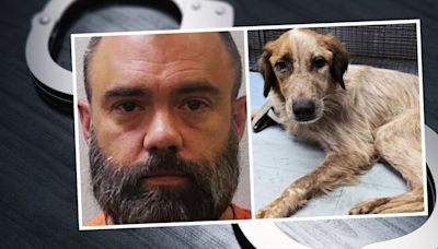 S.C. man charged after dogs left for 2 weeks without food, water