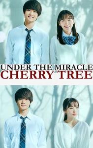 Under the Miracle Cherry Tree