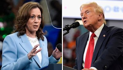 Harris-Trump live: Trump to hold press conference as Harris leads ex-president among likely voters in new poll