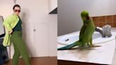 Dancer Models Routine After Groovy Lil Bird's Impeccable Performance