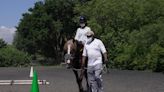 NYC horse farm provides therapy to veterans and people with disabilities