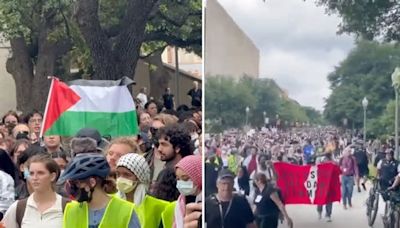 Al menos 34 personas son arrestadas tras protesta en apoyo a Palestina en la Universidad de Texas