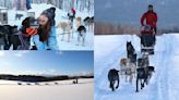 想玩不用飛北歐！北海道必試「自駕狗狗雪橇」，飆速「策狗狂奔」一次就上手