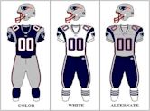 2007 New England Patriots season