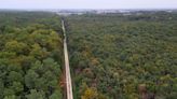 How a ‘mosaic forest’ is helping France adapt to rapid climate change