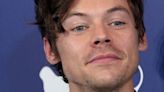 Harry Styles Say He Feels Like He Has 'No Idea What I'm Doing' When Acting