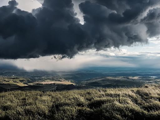 Qué es la “lluvia negra”, el fenómeno que llegará a Argentina en los próximos días - La Tercera