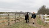 Earlham College equestrian center offering summer sessions