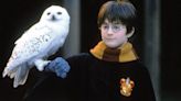 ‘Harry Potter’ TV Series Officially Happening at Max