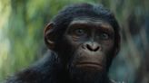 “Kingdom of the Planet of the Apes ”Trailer Shows Apes as the Dominant Species: Watch