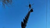 Aerial tree trimming scheduled this week in southwest Michigan