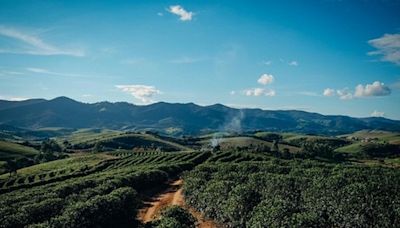 Cumprimento do Código Florestal evitaria a perda de 32 milhões de hectares de vegetação