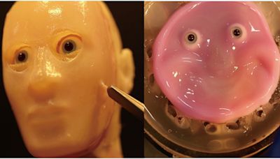 Scientists find a way to attach living skin to robot faces, making them look alive