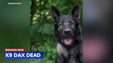 Lake County Sheriff's Office K9 Dax dies days after retirement