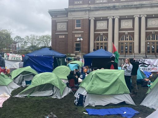 Community reacts to University of Illinois pro-Palestinian protests