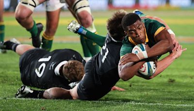 How to watch South Africa vs New Zealand: free live streams for Rugby Championship 2024 game