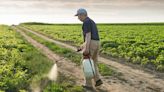 Pesticides a necessary but increasing expense in ag