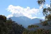 Mount Buller