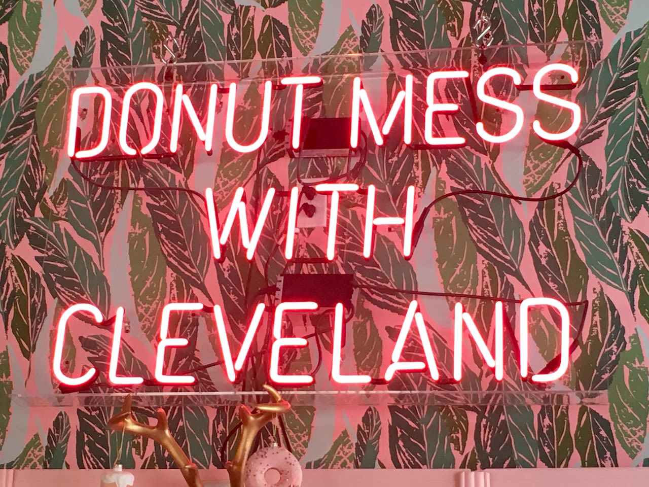 Brewnuts tells to Boston’s Kane’s Donuts: ‘Don’t mess with our Cavaliers’