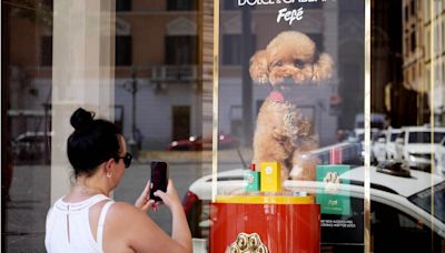 Fragrance for floofs? Dolce & Gabbana has made a luxury perfume for dogs, but vets say it stinks