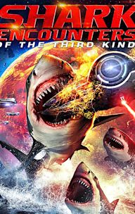 Shark Encounters of the Third Kind