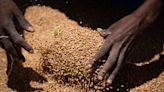 Millions of Ethiopians starving again after US, UN stop aid after massive theft