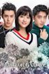 Meteor Garden