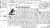 19th-century ads featured groceries, ice, escaped slaves | SUSAN PARKER