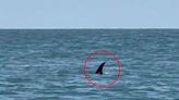 'Huge shark' spotted by woman on fishing trip