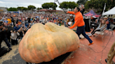 That’s a lot of pies! Monster pumpkin breaks world record