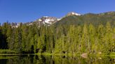Canadian man killed by falling tree in Olympic National Park