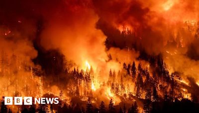 Park Fire: California man sees home burn for second time