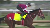 Undefeated Japanese horse hopes to win Kentucky Derby 150