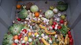 Pomodoro Pasta with a Side of Accountability: Addressing Food Waste in NYC