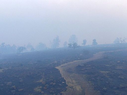 Fast-moving wildfire in the Canadian Rockies' largest national park hits the town of Jasper