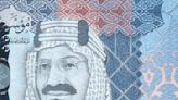 Saudi Central Bank SAMA To Support Investment Immersion Initiative | Crowdfund Insider