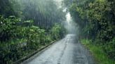 Éstas son las PODEROSAS bebidas que te ayudarán a aumentar tus defensas durante la temporada de lluvias