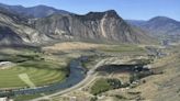 A man kills a grizzly bear in Montana after it attacks while he is picking berries