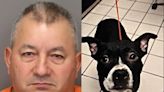 Man accused of decapitating dog he adopted from shelter days before