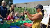 Ripon garden grows produce for food banks while teaching children how to sow and reap