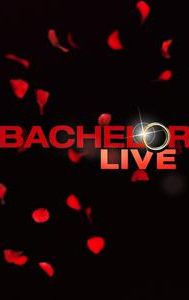 Bachelor Live