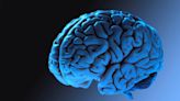 Resolver las incógnitas del cerebro impulsan las investigaciones del alzhéimer o el párkinson