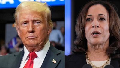 Trump vs. Harris? Here’s what recent polls say about the potential match-up - National | Globalnews.ca