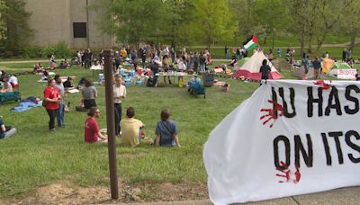 'It was terrifying' | 23 Indiana University students arrested in day 3 of Israel protests on campus