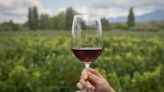De qué bodega es y cuánto cuesta el vino argentino más vendido en el mundo | Noticias