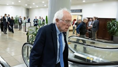 El senador Bernie Sanders pide a los demócratas "parar la discusión" y apoyar a Biden