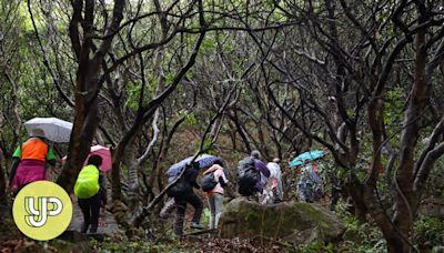 Hong Kong hikers warned to prepare better for expeditions