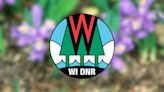 Wisconsin DNR issues incidental take notice for rare, endangered plant in Door County
