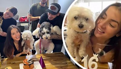 Ana de Armas celebrates her dog Elvis on his sweet 16 birthday on set