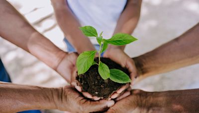 ¿Por qué se celebra el Día Mundial del Medio Ambiente y cuándo es?